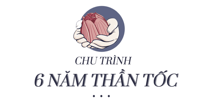 2 vị tổng thống, 2 hộp sữa, 6 năm thần tốc và cú đột phá mới của bà Thái Hương - Ảnh 2.