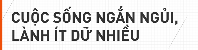 Sư tử diệt sư tử: Cuộc ám sát 3 cắn 1 và sự hồi sinh nghẹt thở của nhà vua - Ảnh 3.