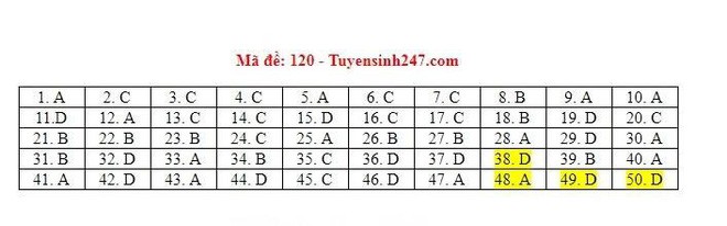 Cập nhật đáp án thi môn Toán THPT Quốc gia 2019 tất cả các mã đề - Ảnh 4.