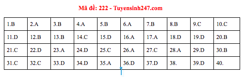 Gợi ý đáp án thi môn Vật lý THPT Quốc gia 2019 tất cả các mã đề - Ảnh 8.