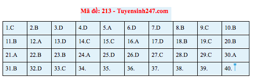 Gợi ý đáp án thi môn Vật lý THPT Quốc gia 2019 tất cả các mã đề - Ảnh 7.