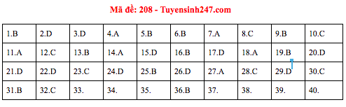 Gợi ý đáp án thi môn Vật lý THPT Quốc gia 2019 tất cả các mã đề - Ảnh 6.