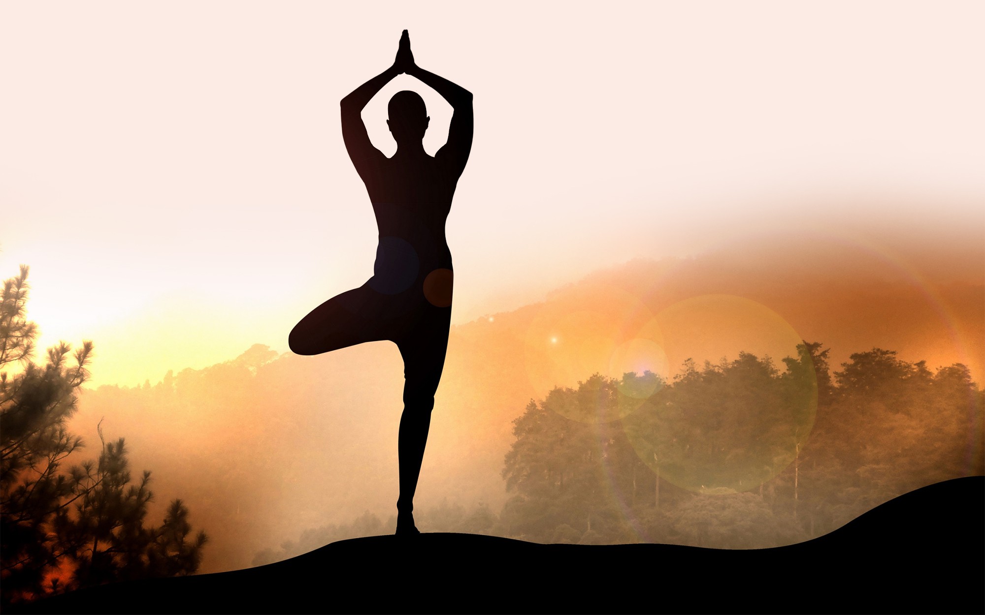Cao thủ Yoga tiết lộ về Yoga thật - Yoga giả và bí quyết ăn-tập-ngủ tuyệt vời cho sức khỏe - Ảnh 30.