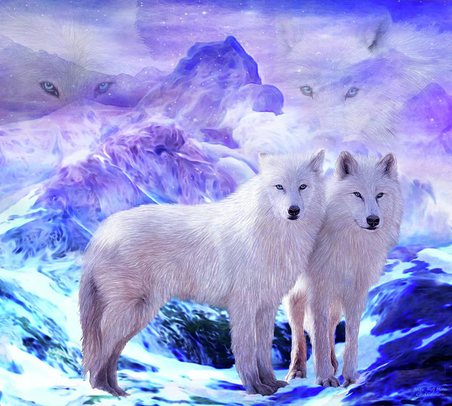 Mồ chôn của sói Bắc Cực: Lụi tàn không phải vì thử thách khắc nghiệt của tự nhiên, thứ gì đang chôn chúng? - Ảnh 4.