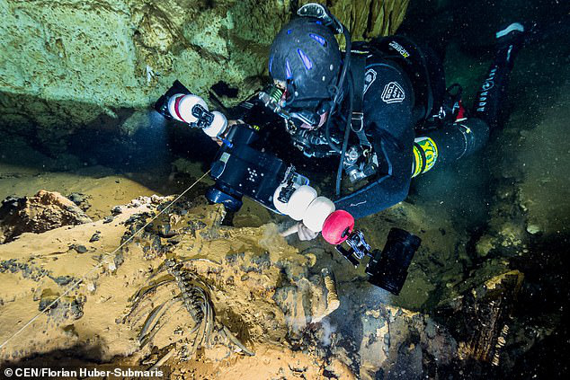 Lặn xuống hang ngầm thời cổ đại, các nhà khảo cổ phát hiện hàng loạt điều bất ngờ  - Ảnh 8.
