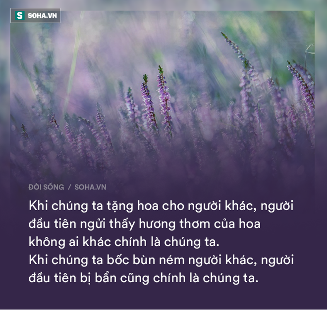 Nhờ thợ săn khử đồng loại vì chúng bay cao hơn mình, con chim ưng nhận cái kết đau đớn, cảnh tỉnh nhiều người - Ảnh 4.