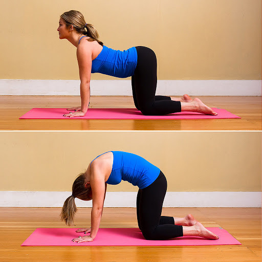 Yoga trị liệu: Chuyên gia Yoga Ấn Độ chỉ cách kiểm soát đau lưng và bài tập để hồi phục - Ảnh 3.