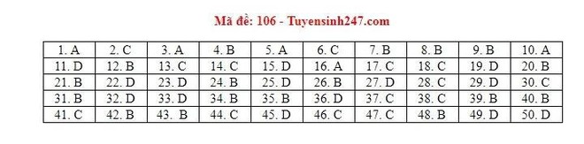 Cập nhật đáp án thi môn Toán THPT Quốc gia 2019 tất cả các mã đề - Ảnh 7.