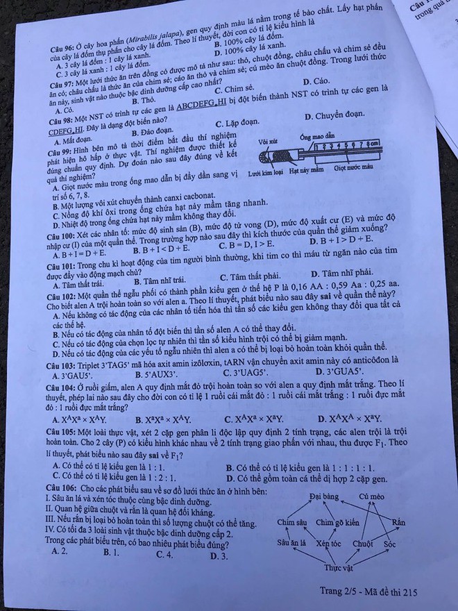 Cập nhật gợi ý đáp án thi môn Sinh học THPT Quốc gia 2019 - tất cả 24 mã đề - Ảnh 9.