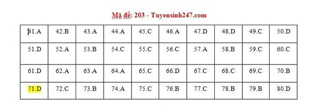 Cập nhật gợi ý đáp án thi môn Hóa học THPT Quốc gia 2019 tất cả các mã đề - Ảnh 4.