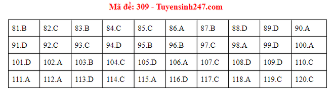 Cập nhật gợi ý đáp án môn Giáo Dục Công Dân THPT Quốc gia 2019 - Ảnh 8.