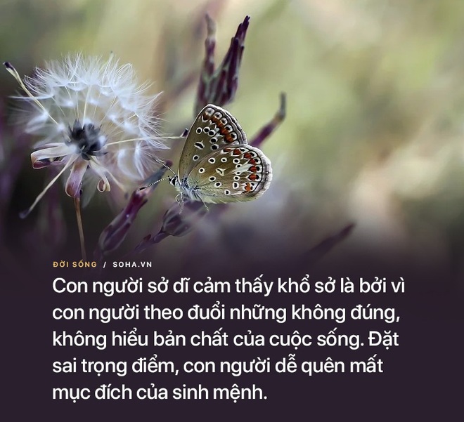 Ngỡ gặp may khi tự nhiên nhặt được vàng, hai vợ chồng không ngờ phải trả giá quá đắt - Ảnh 4.