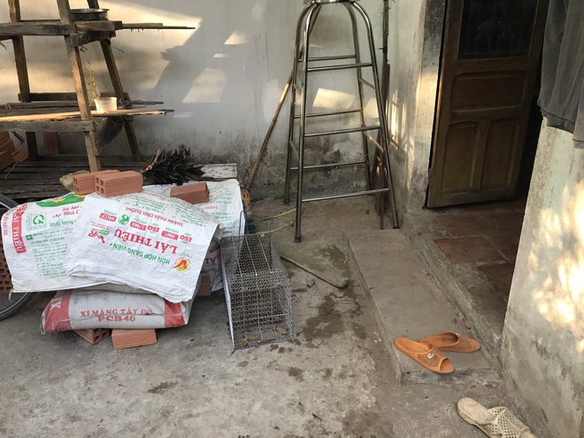 Đâm chết hàng xóm vì nghĩ bắt trộm mèo nhà mình - Ảnh 1.