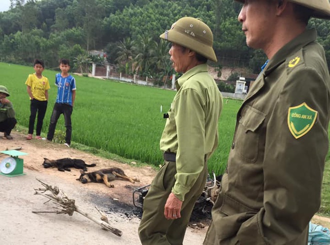 Đi câu trộm chó, 2 nam thanh niên bị vây đánh thương vong, đốt xe máy - Ảnh 1.