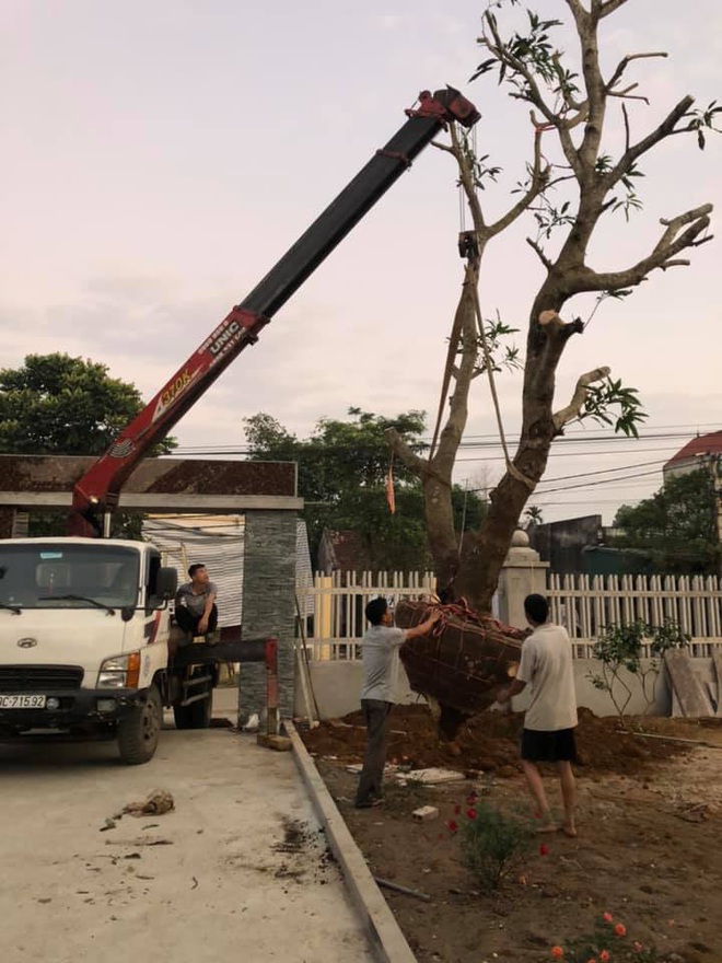 Nổi tiếng, không phải ruột thịt và khối tài sản khiến nhiều người ngưỡng mộ của anh em Tam Mao - Ảnh 9.