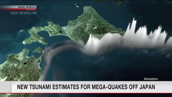 Nhật Bản có khả năng hứng chịu thảm họa kép: Sóng thần 30 mét, động đất cường độ 9,0, chính phủ Nhật nói gì? - Ảnh 1.