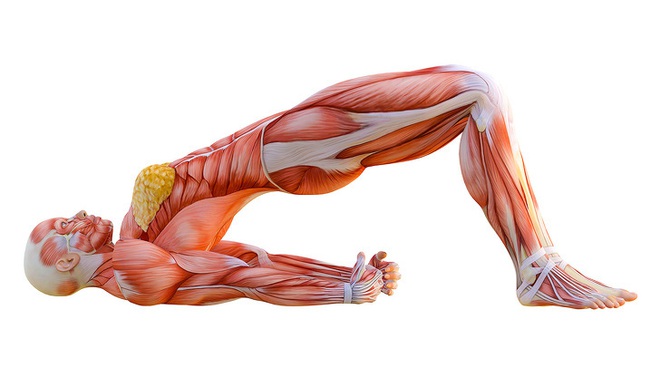 Yoga trị liệu: Chuyên gia Yoga Ấn Độ chỉ cách kiểm soát đau lưng và bài tập để hồi phục - Ảnh 8.