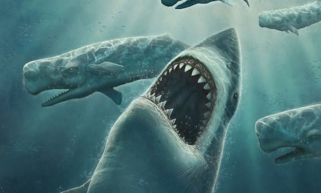 Giải mã quái vật biển sở hữu cặp hàm siêu mạnh: Cắn đôi cá mập khổng lồ chỉ trong 1/50 giây - Ảnh 6.