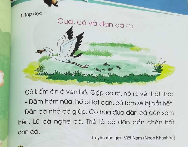 Bộ Giáo dục đề nghị Hội đồng thẩm định rà soát sách Tiếng Việt lớp 1 - Ảnh 1.
