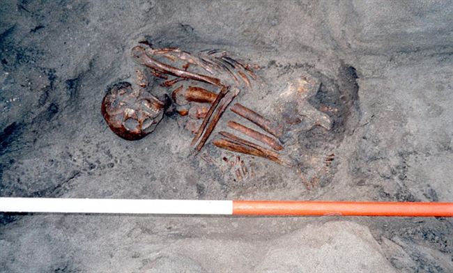 Phát hiện khảo cổ quái dị: Xét nghiệm ADN cho thấy xác ướp 3000 tuổi được chắp vá từ 6 di thể - Ảnh 5.