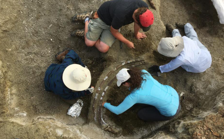 Phát hiện hộp sọ nặng hơn 1.300 kg, đội khảo cổ mất 2 tháng để khai quật