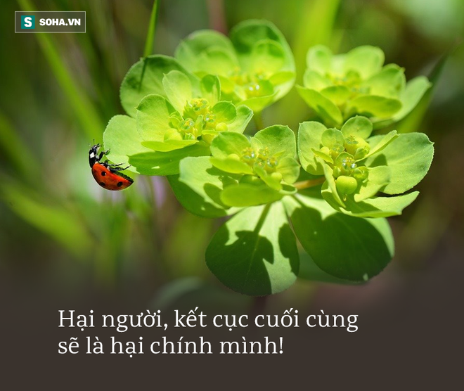 7 giới hạn không được phép vượt qua, dù già hay trẻ cũng đều phải nhớ nếu để tránh tai họa khôn lường  - Ảnh 3.