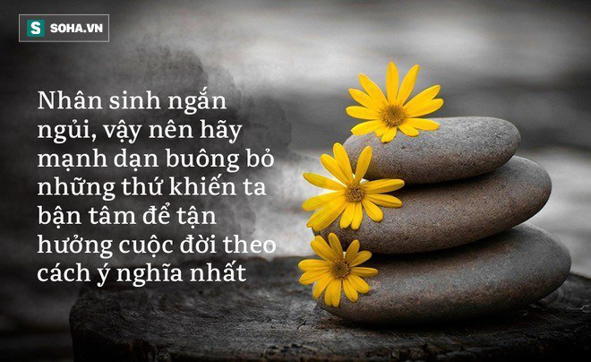 Bỏ được 8 thứ này, cuộc đời mỗi người càng sống càng thuận lợi: Bạn đã bỏ được bao nhiêu thứ? - Ảnh 2.