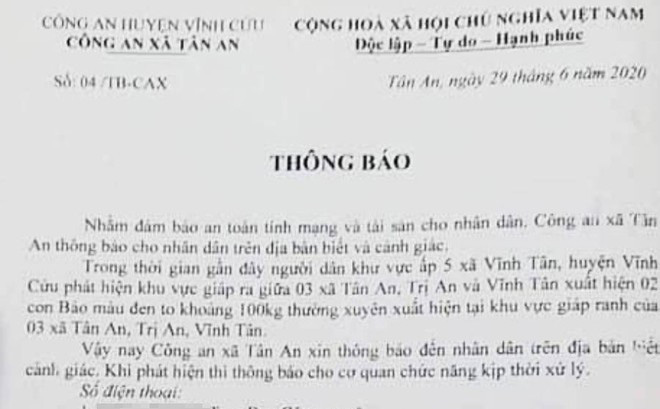 Xôn xao thông tin 2 con báo đen xuất hiện ở giáp ranh 3 xã tại tỉnh Đồng Nai