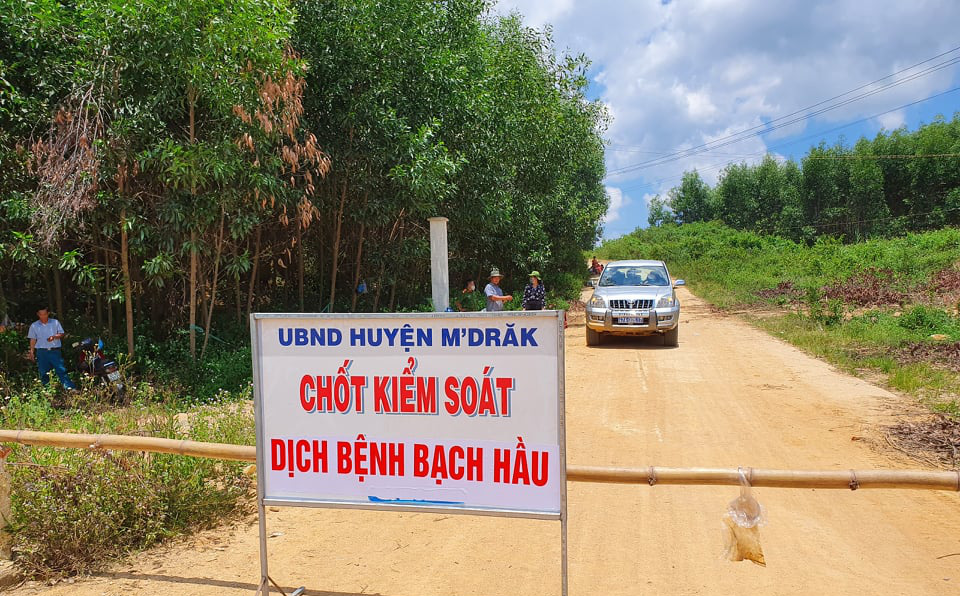 Thêm 2 trường hợp tại tỉnh Đắk Lắk dương tính với bạch hầu