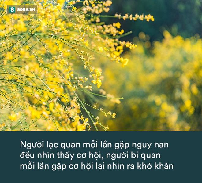 Được tặng quà sinh nhật toàn là phân ngựa, cậu bé phản ứng bằng 1 câu nằm ngoài tưởng tượng, rất đáng để học hỏi - Ảnh 2.