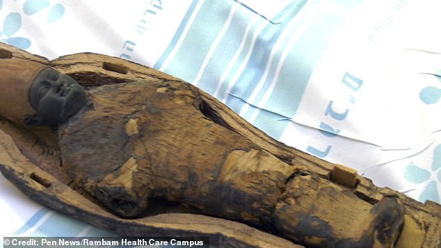 Các nhà khoa học không thể tin vào mắt mình khi nhìn ảnh chụp CT xác ướp 3000 tuổi, bên trong có gì vậy? - Ảnh 1.