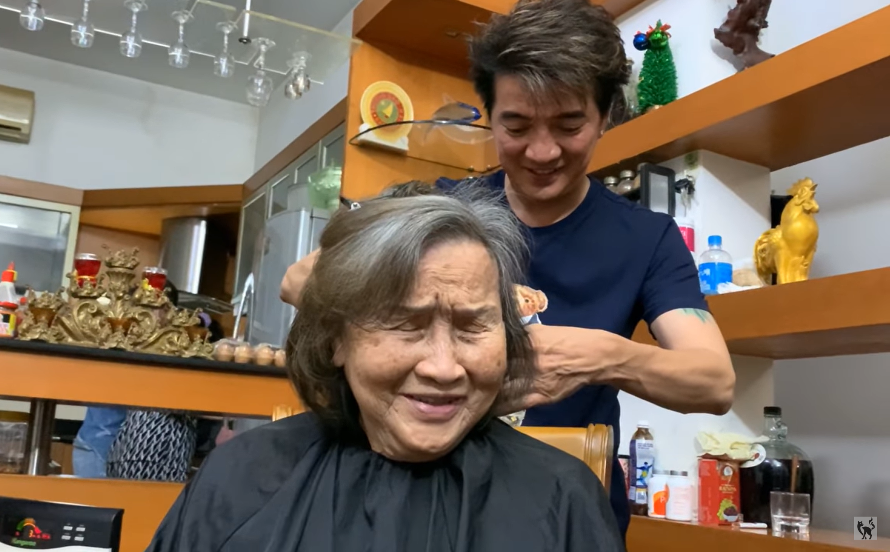 Được Đàm Vĩnh Hưng qua tận nhà cắt tóc, mẹ Hoài Linh nói câu xúc động