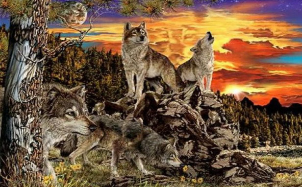 Có bao nhiêu chó sói trong tranh? Số lượng bạn nhìn thấy tiết lộ nhiều điều thú vị