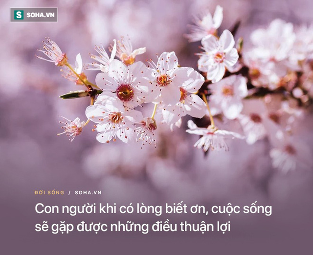 Phỏng vấn tuyển dụng nhưng lại yêu cầu ứng viên cho xem tay, vị chủ quản vừa tìm được người ưng ý sau 1 lời đề nghị - Ảnh 4.