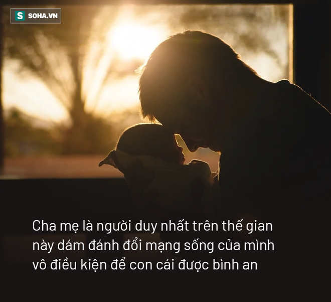 Tình cảm thân thiết nhất trên đời này là gì? và đáp án khiến bao người cay mắt - Ảnh 8.
