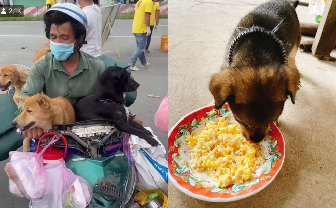 Người nuôi chú chó duy nhất sống sót trong vụ tiêu huỷ đàn chó ở Cà Mau: 'Chú nói có dịp sẽ lên thăm bé!'
