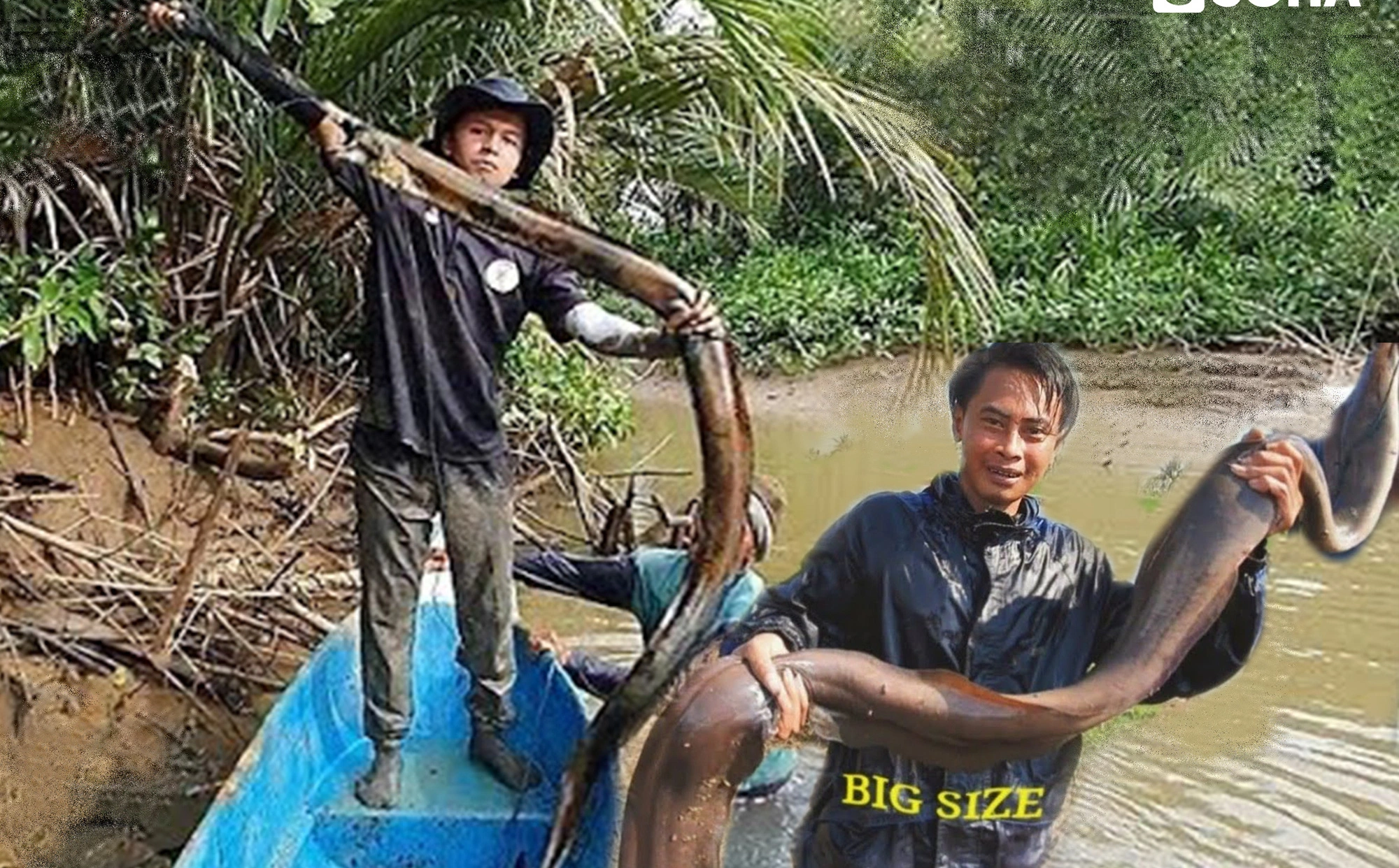 Dùng hết sức kéo sợi dây thừng lên, người đàn ông bắt được 'quái vật' lươn khủng nặng 2,3 kg