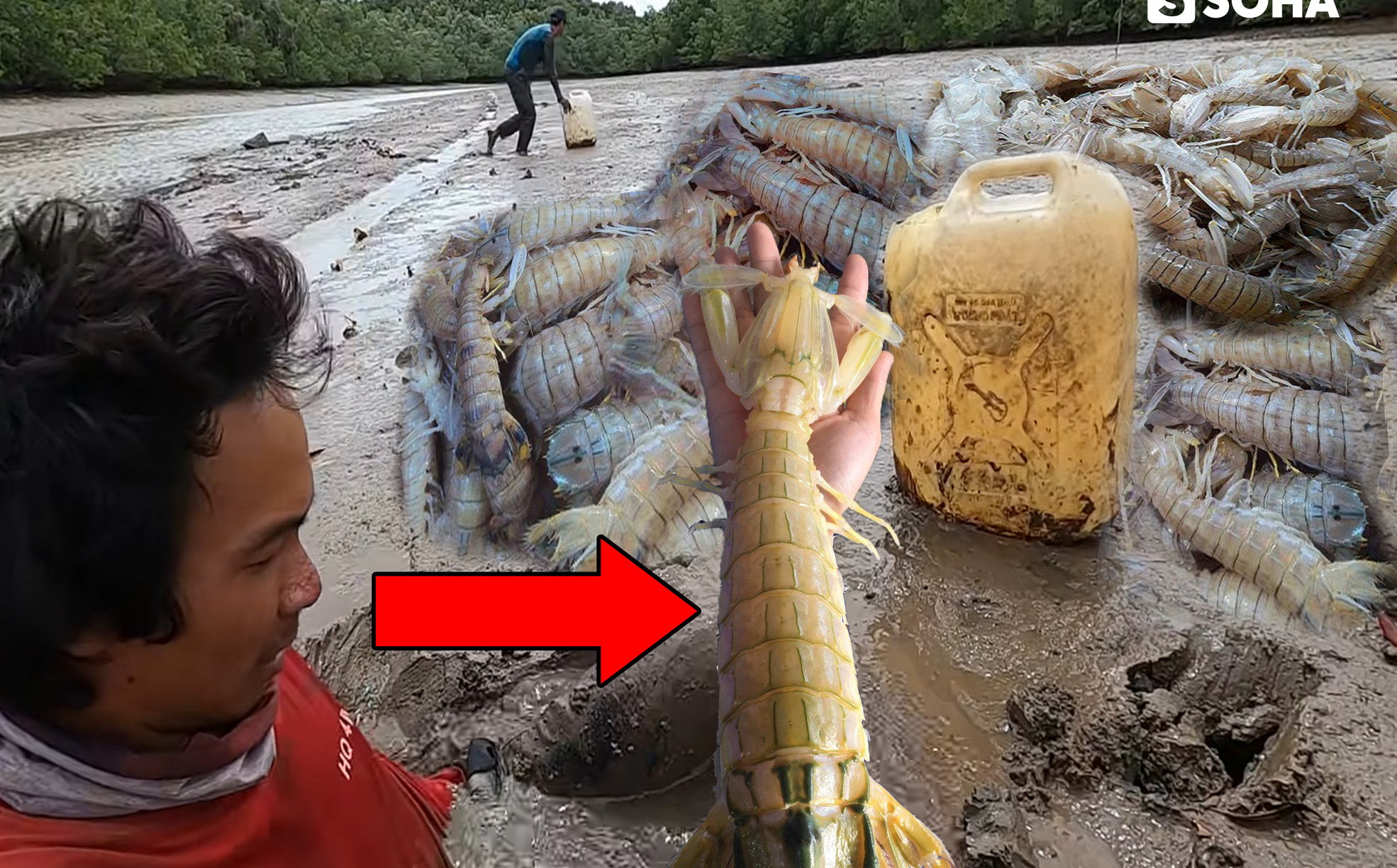 Vất vả ngụp lặn dưới sình lầy, nhóm người thu được thành quả đầy ắp xuồng