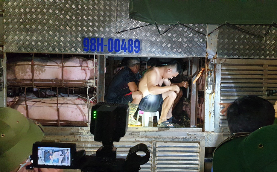 Phát hiện 4 người ngồi giữa thùng xe tải chở lợn khi qua chốt kiểm dịch Covid-19