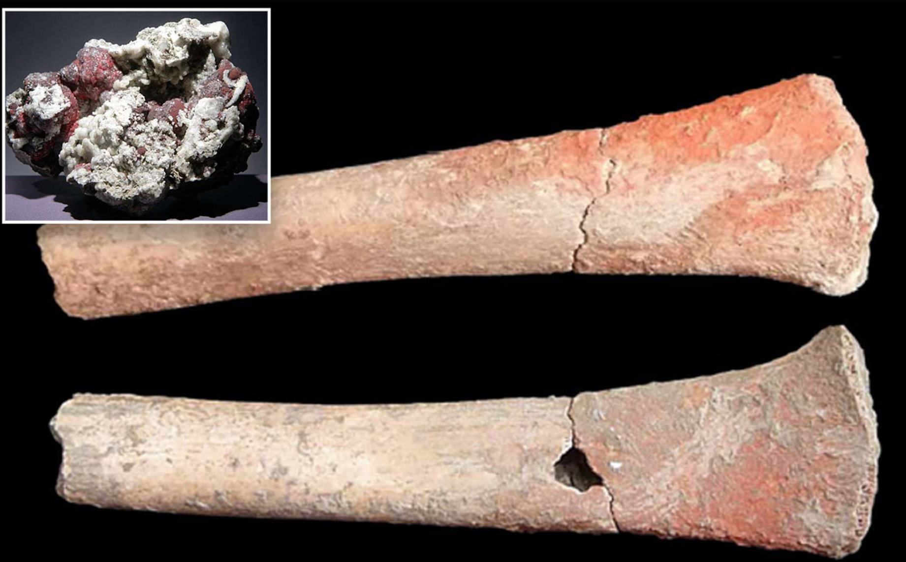 Khai quật gần 400 bộ xương người, phát hiện sự thật chấn động 5.000 năm