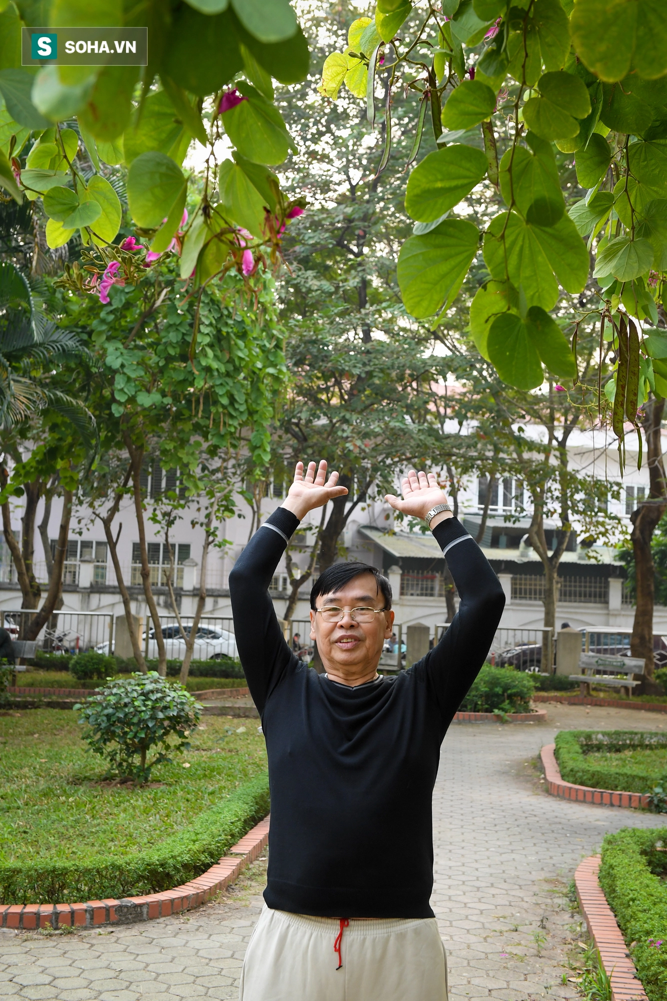 [ẢNH] Loạt biệt thự triệu đô trên con phố mới mang tên vợ chồng Lưu Quang Vũ, Xuân Quỳnh - Ảnh 9.