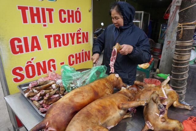 Lãnh đạo TP Hội An: Thông tin cấm bán thịt chó, mèo là không đúng, không ai mà cấm được - Ảnh 1.