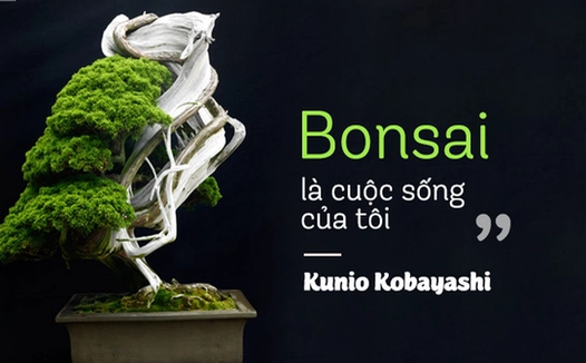 Top 10 cây Bonsai đẹp nhất thế giới