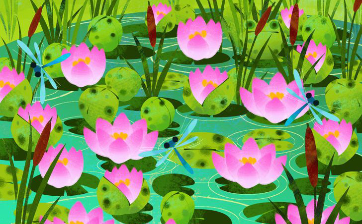 Thách thức thị giác 3 giây: Đố bạn tìm ra con ếch xanh trong đầm sen nở rộ