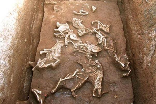 Khai quật lăng mộ bà nội Tần Thủy Hoàng, chuyên gia sửng sốt khi phát hiện những thứ bên trong - Ảnh 2.