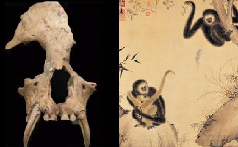 Khai quật lăng mộ bà nội Tần Thủy Hoàng, chuyên gia sửng sốt khi phát hiện những thứ bên trong
