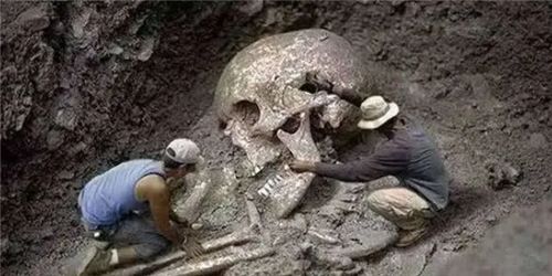 Thực hư bộ hài cốt dài 3 mét trong mộ cổ 5.000 năm tuổi: Người khổng lồ ở Trung Quốc là có thật? - Ảnh 2.