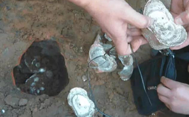Chàng trai người Quảng Đông đào được 3 thỏi bạc trong lòng đất, không ngờ lại 'lôi' được bí ẩn về kho báu khổng lồ của hoàng đế!