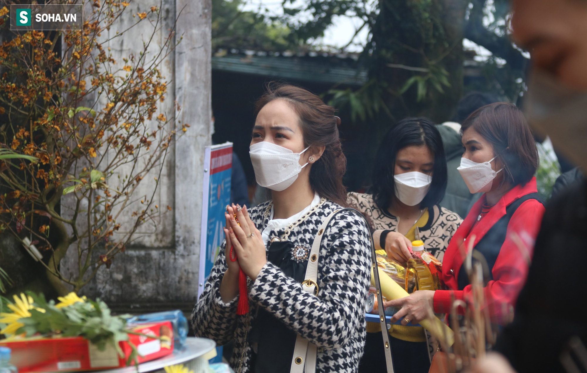 Du khách thi nhau xoa đầu tượng thần hổ ở chùa Hương, cầu mong bách bệnh tiêu tan - Ảnh 5.