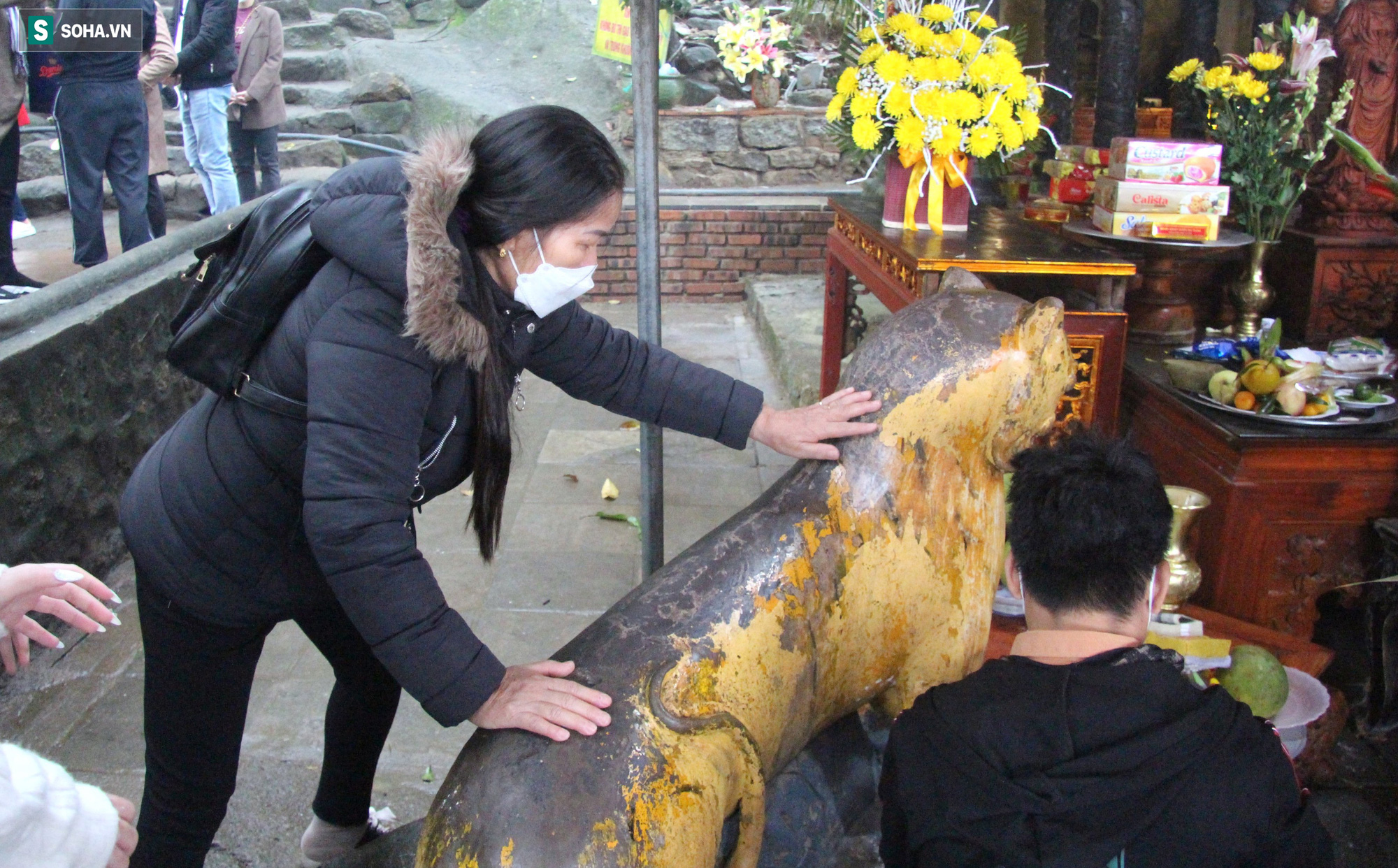 Du khách thi nhau xoa đầu tượng &quot;thần hổ&quot; ở chùa Hương, cầu mong bách bệnh tiêu tan